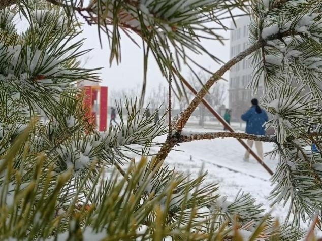 mg冰球突破(中国)官方网站