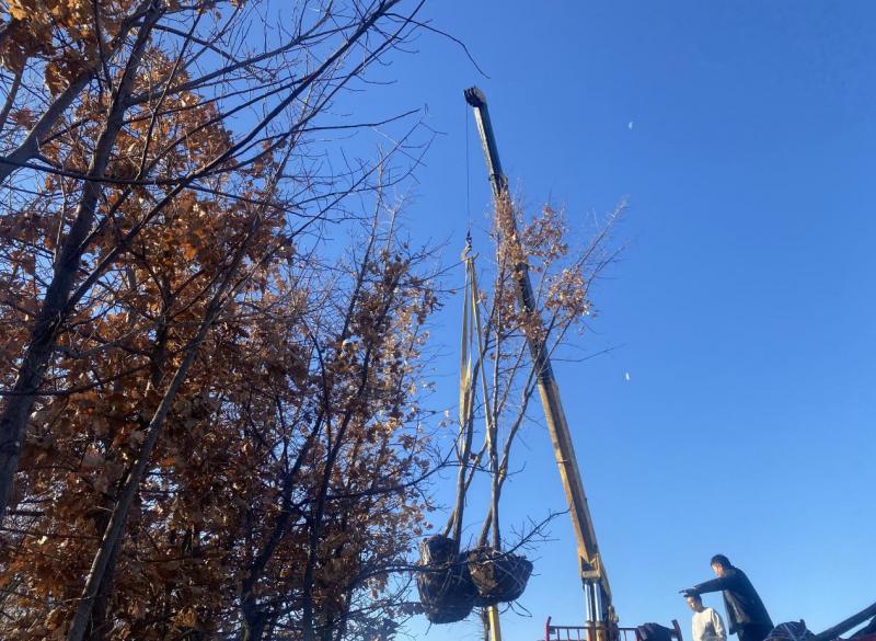 mg冰球突破(中国)官方网站