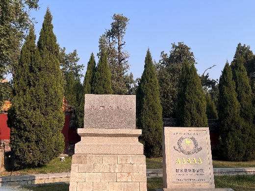 mg冰球突破(中国)官方网站