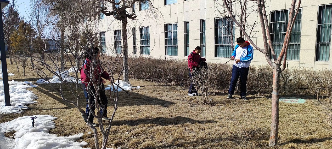 mg冰球突破(中国)官方网站