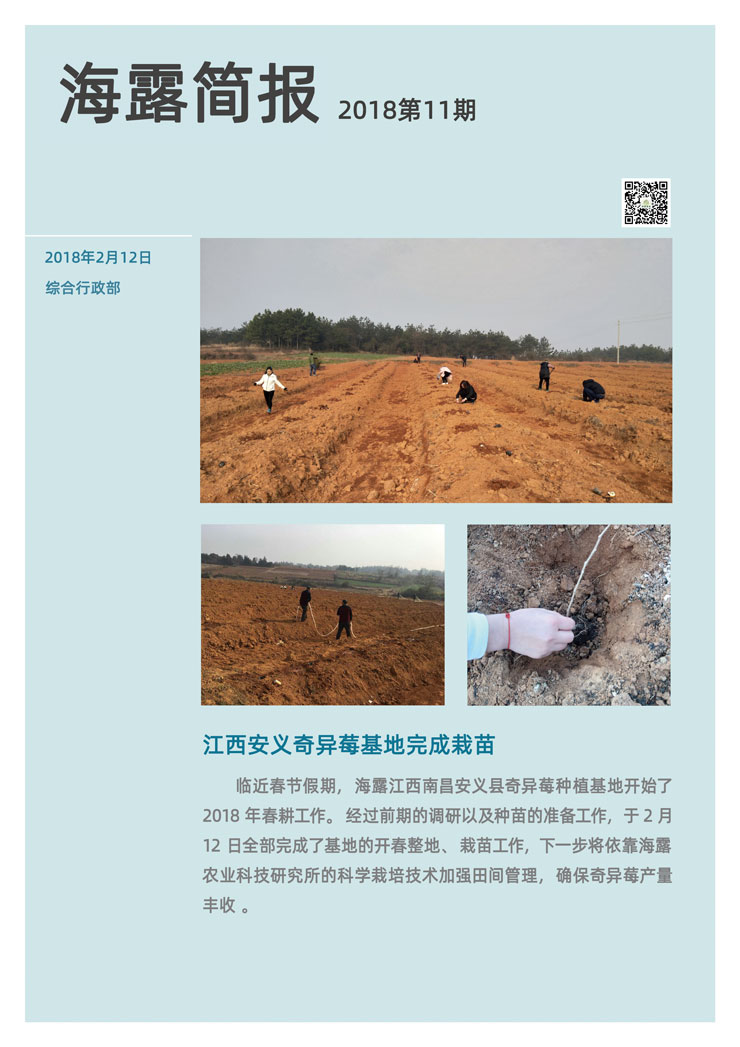 首页-PA集团有限公司官网入口