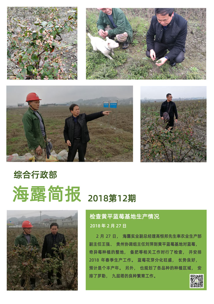 首页-PA集团有限公司官网入口