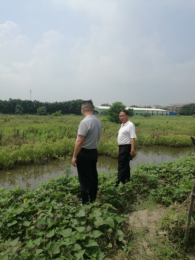 首页-PA集团有限公司官网入口