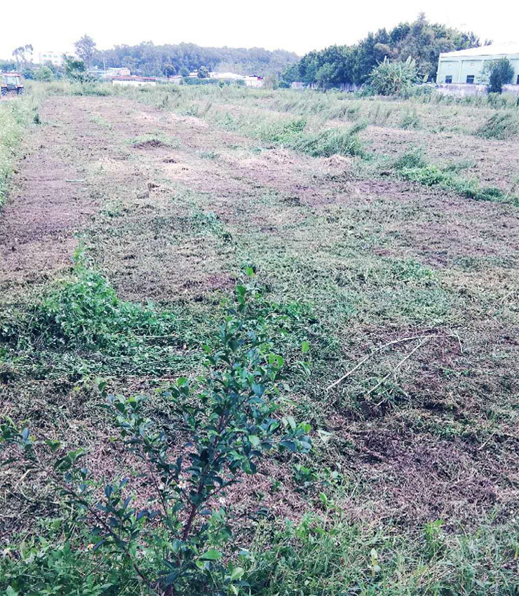 首页-PA集团有限公司官网入口