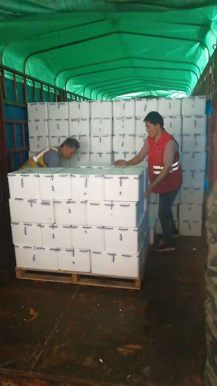 首页-PA集团有限公司官网入口