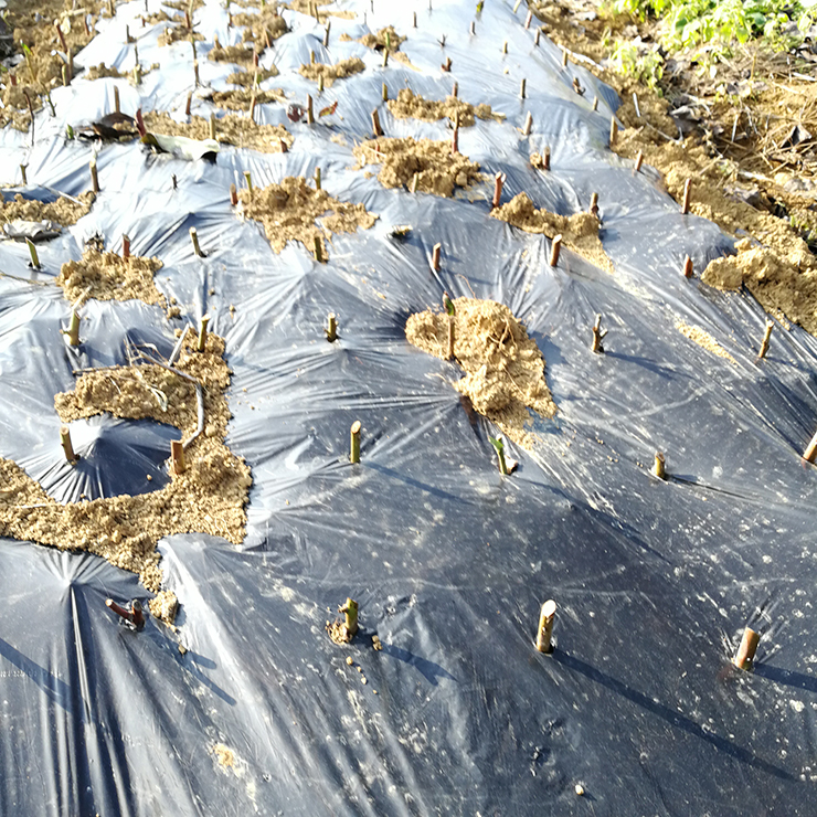 首页-PA集团有限公司官网入口