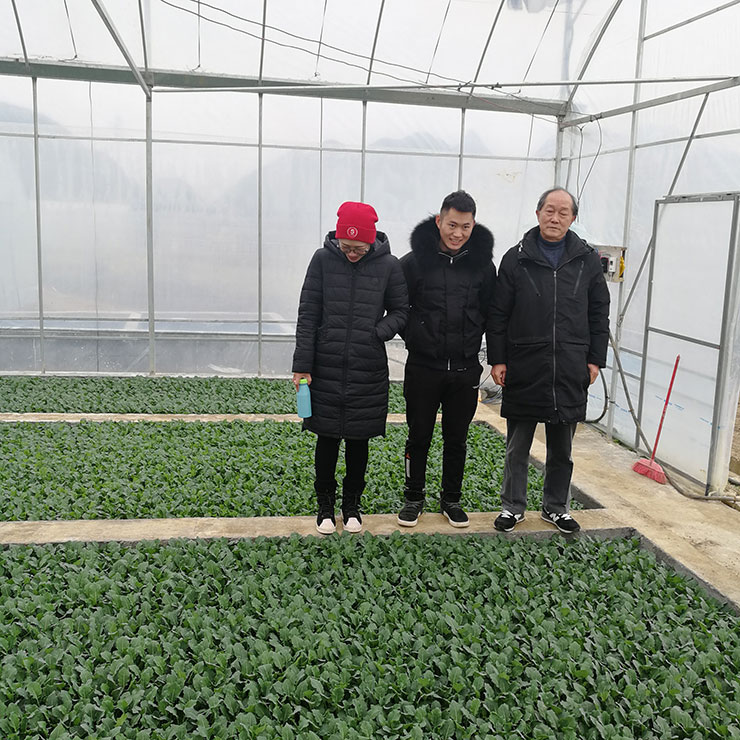 首页-PA集团有限公司官网入口