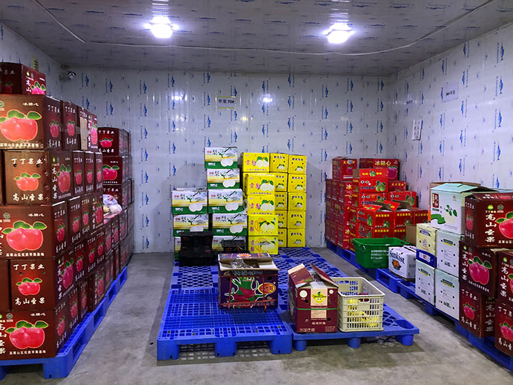 首页-PA集团有限公司官网入口