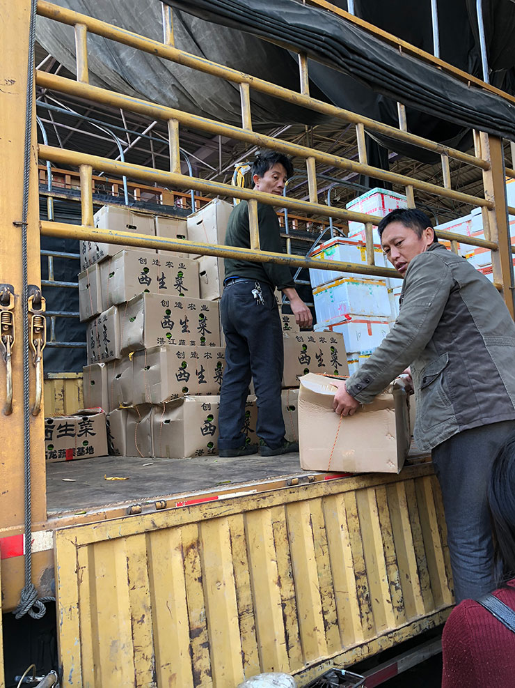 首页-PA集团有限公司官网入口