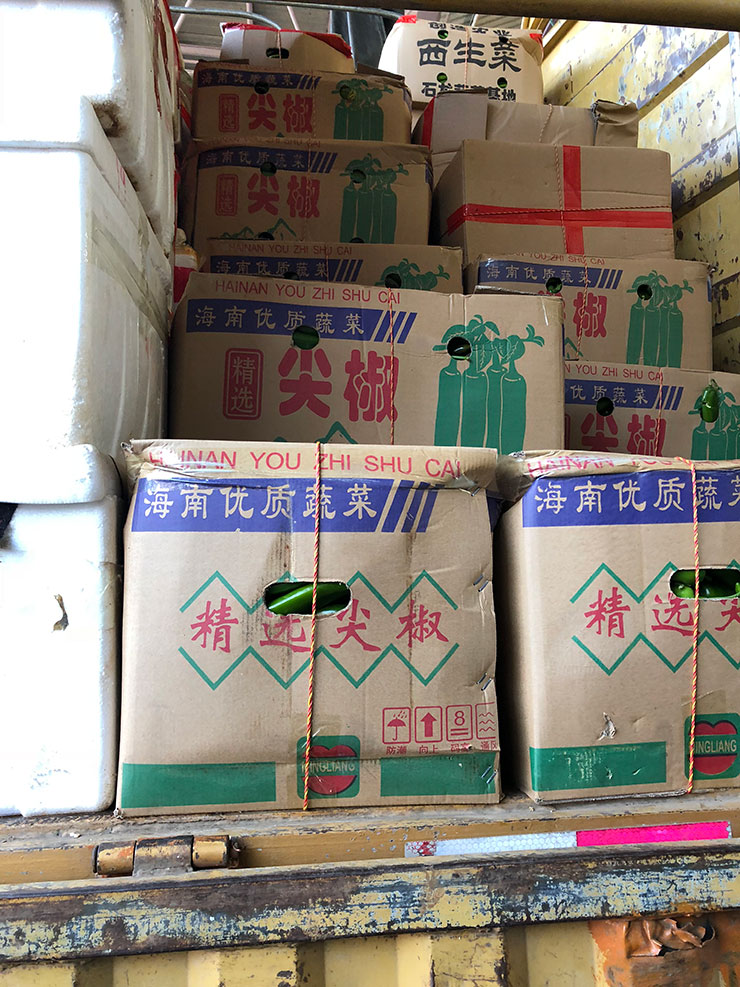 首页-PA集团有限公司官网入口