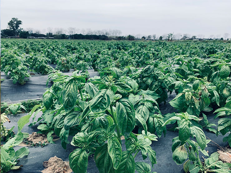 首页-PA集团有限公司官网入口