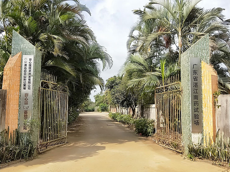 首页-PA集团有限公司官网入口