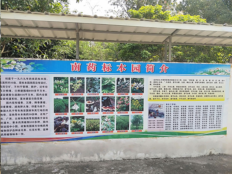 首页-PA集团有限公司官网入口