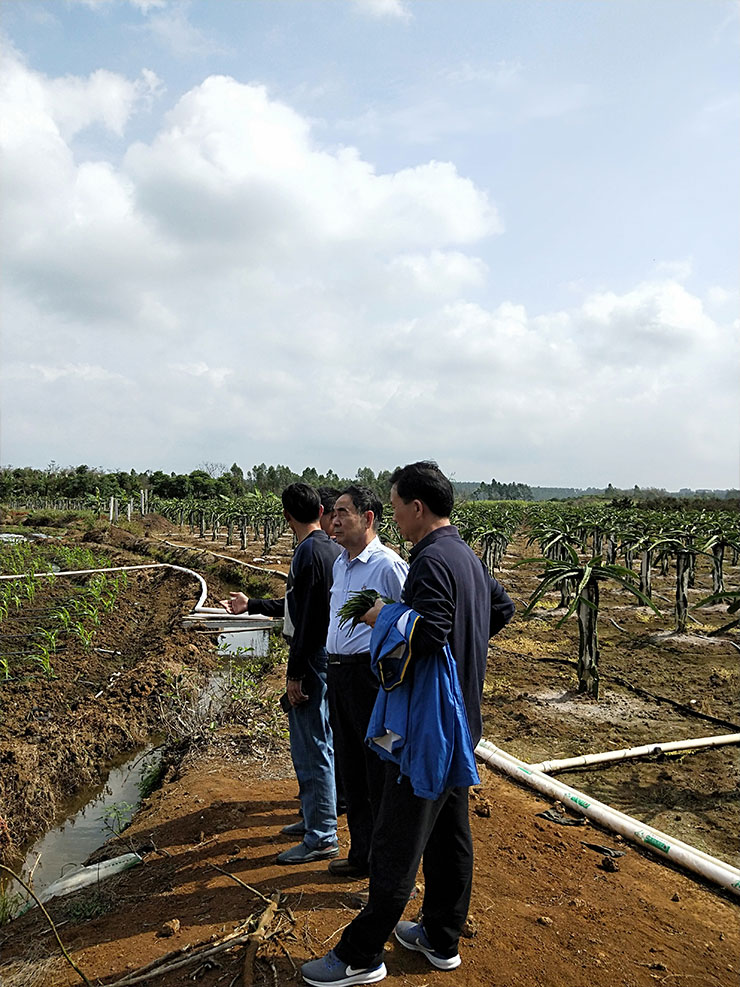 首页-PA集团有限公司官网入口