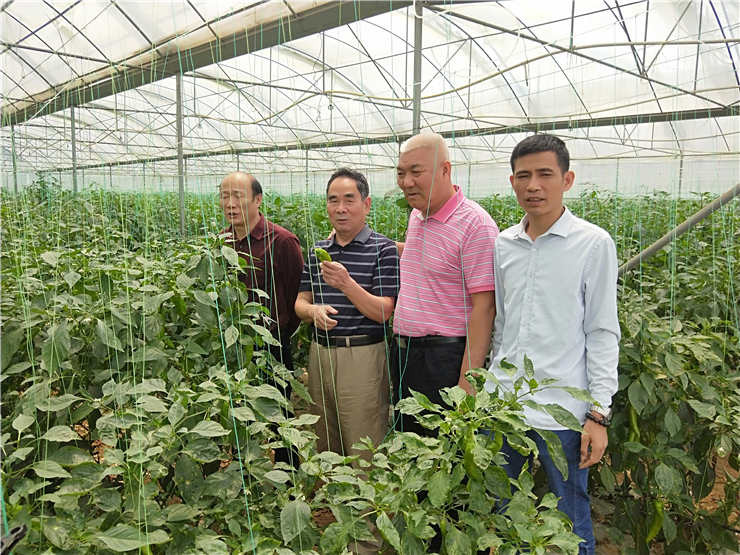 首页-PA集团有限公司官网入口