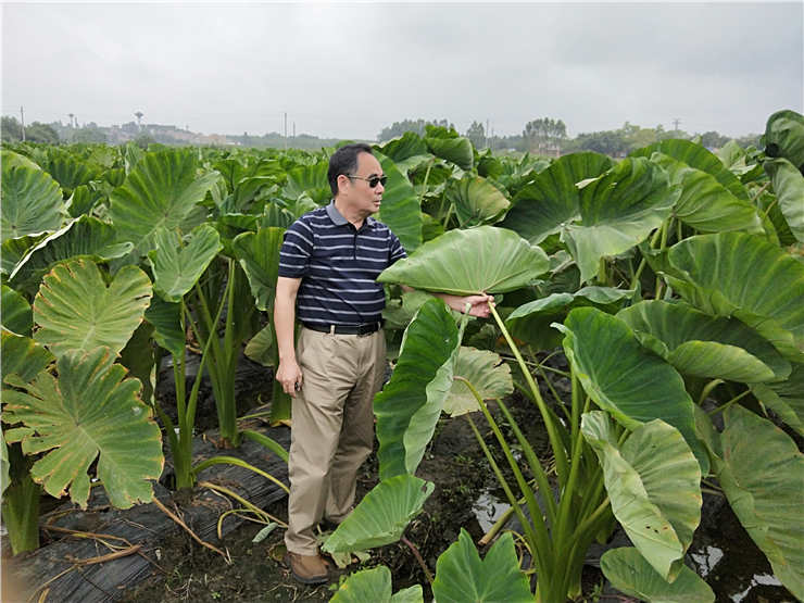 首页-PA集团有限公司官网入口