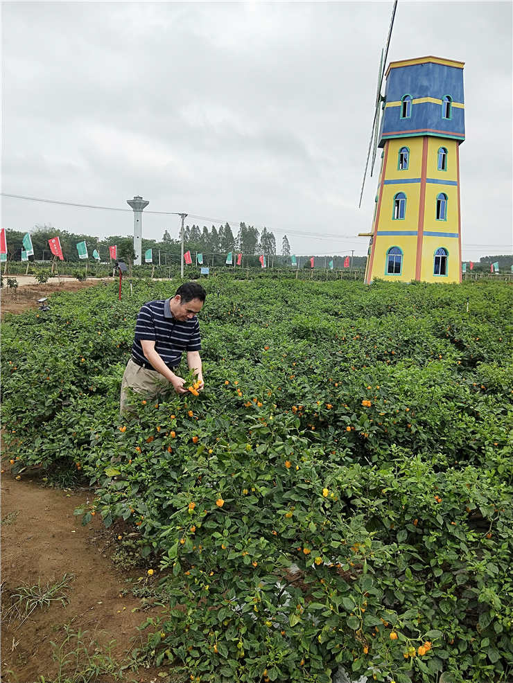 首页-PA集团有限公司官网入口