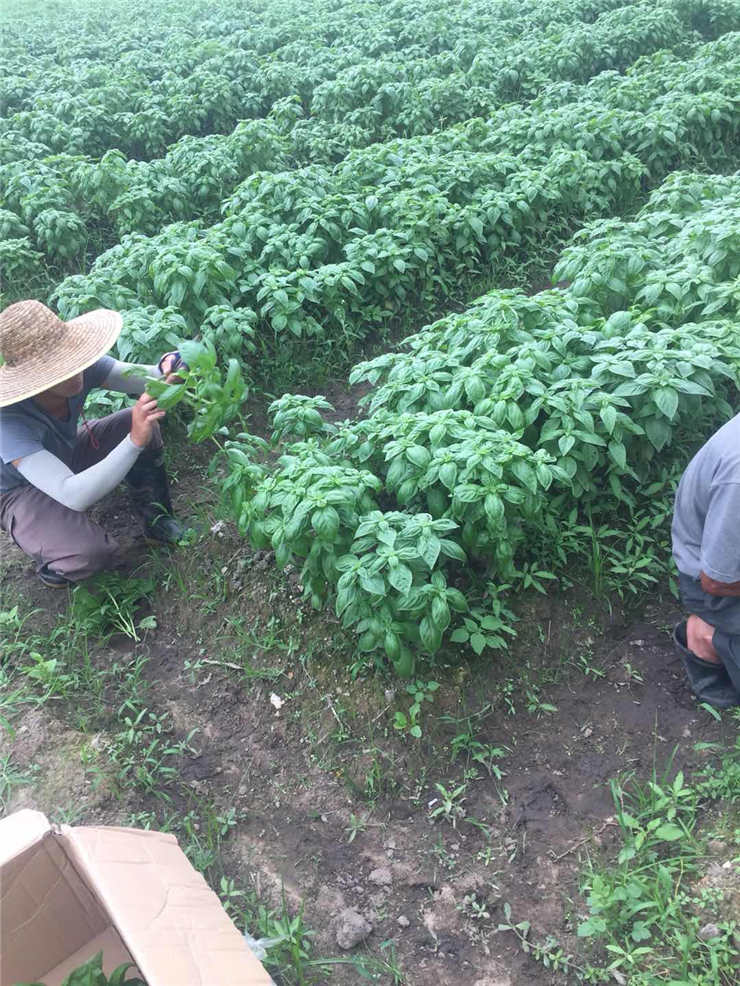 首页-PA集团有限公司官网入口