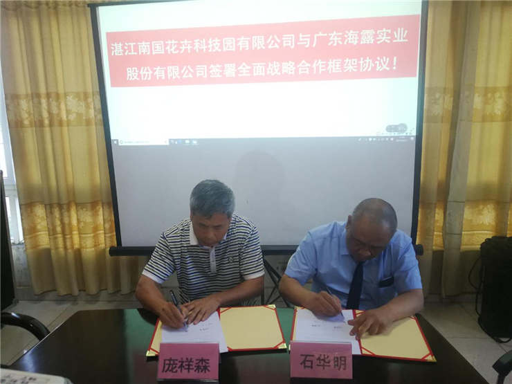 首页-PA集团有限公司官网入口