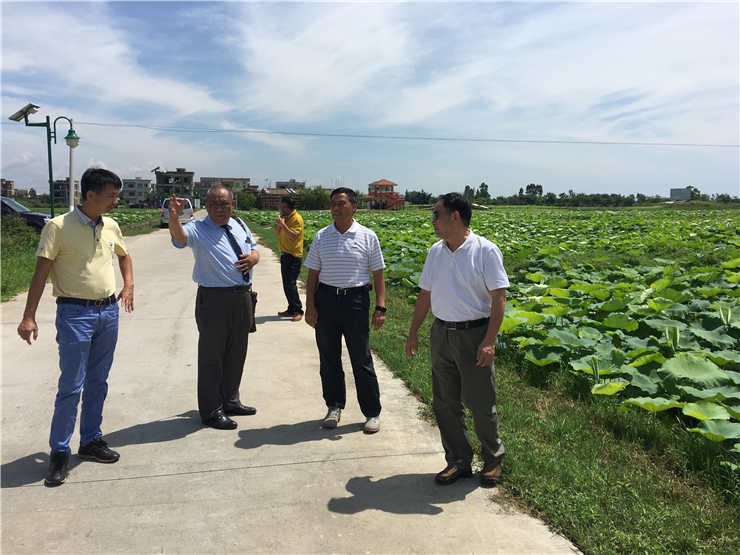 首页-PA集团有限公司官网入口