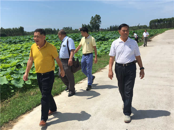 首页-PA集团有限公司官网入口