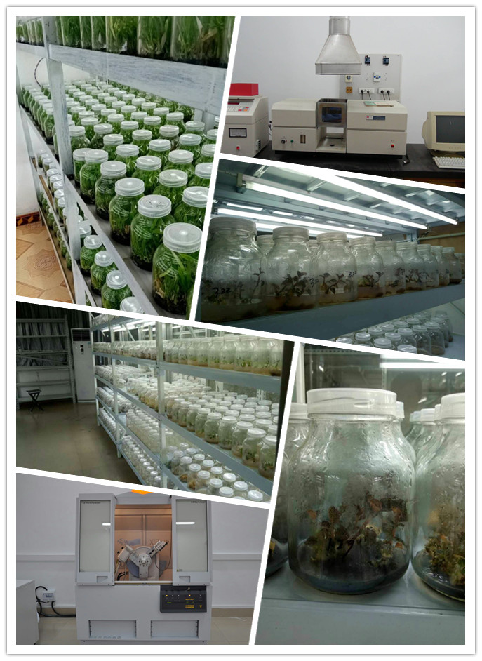 首页-PA集团有限公司官网入口