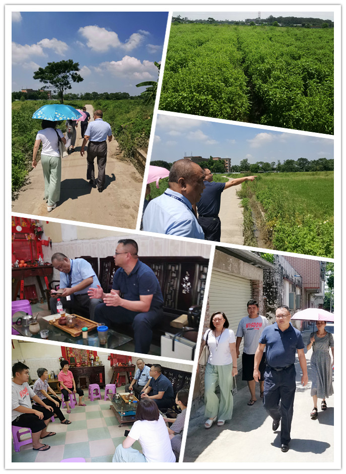 首页-PA集团有限公司官网入口