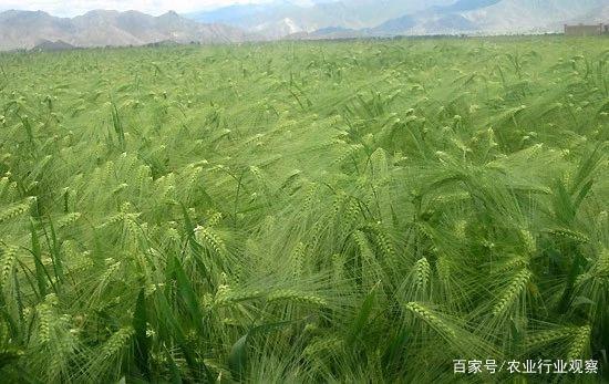 首页-PA集团有限公司官网入口