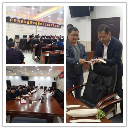 首页-PA集团有限公司官网入口