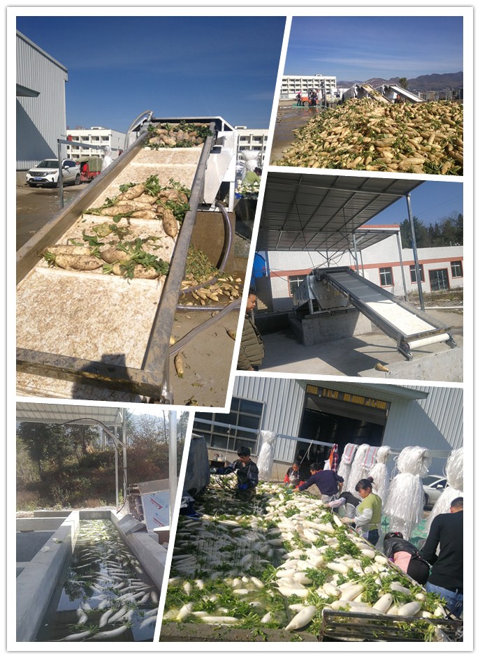 首页-PA集团有限公司官网入口