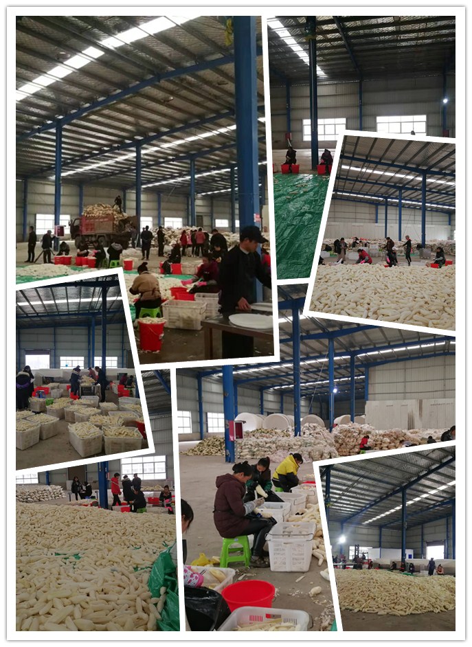 首页-PA集团有限公司官网入口