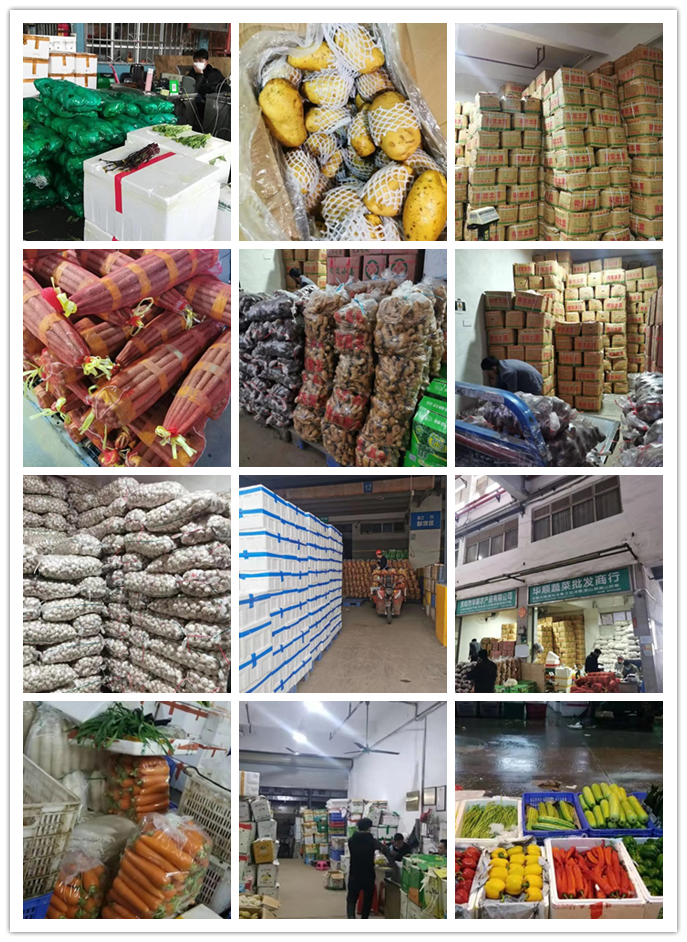 首页-PA集团有限公司官网入口