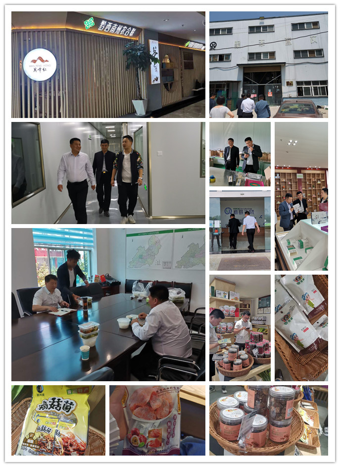 首页-PA集团有限公司官网入口