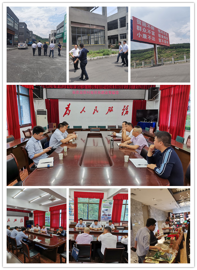 首页-PA集团有限公司官网入口