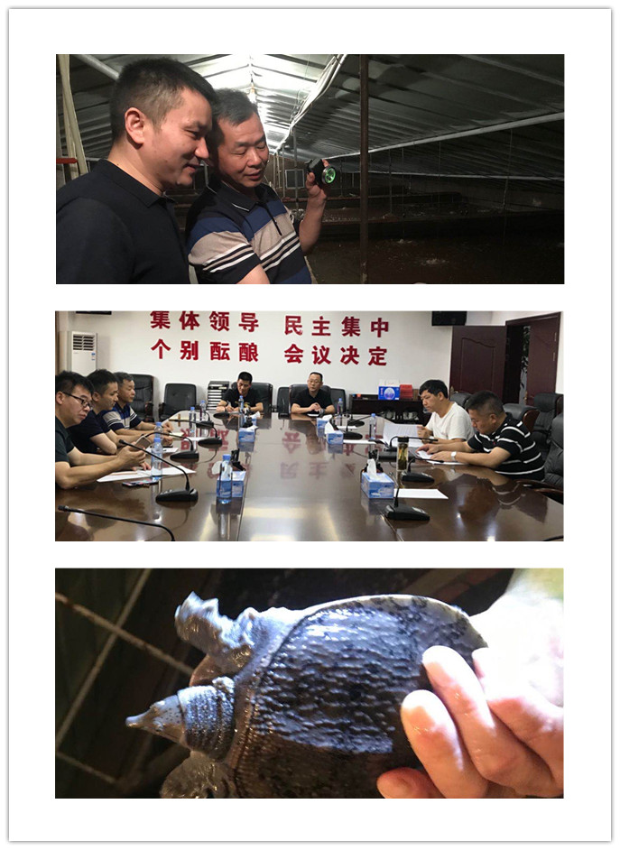 首页-PA集团有限公司官网入口