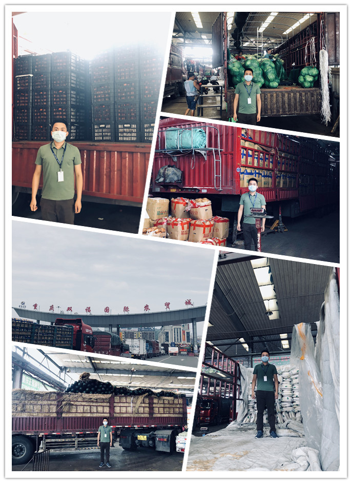 首页-PA集团有限公司官网入口