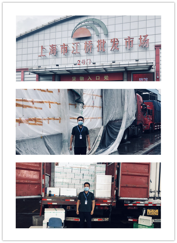 首页-PA集团有限公司官网入口