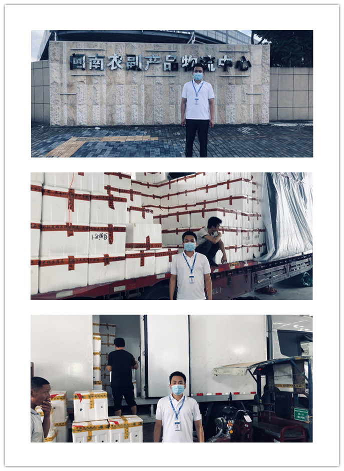 首页-PA集团有限公司官网入口