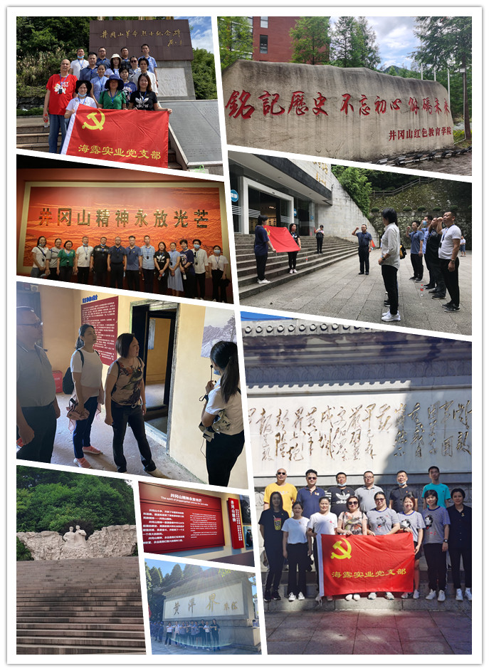 首页-PA集团有限公司官网入口