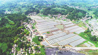 首页-PA集团有限公司官网入口