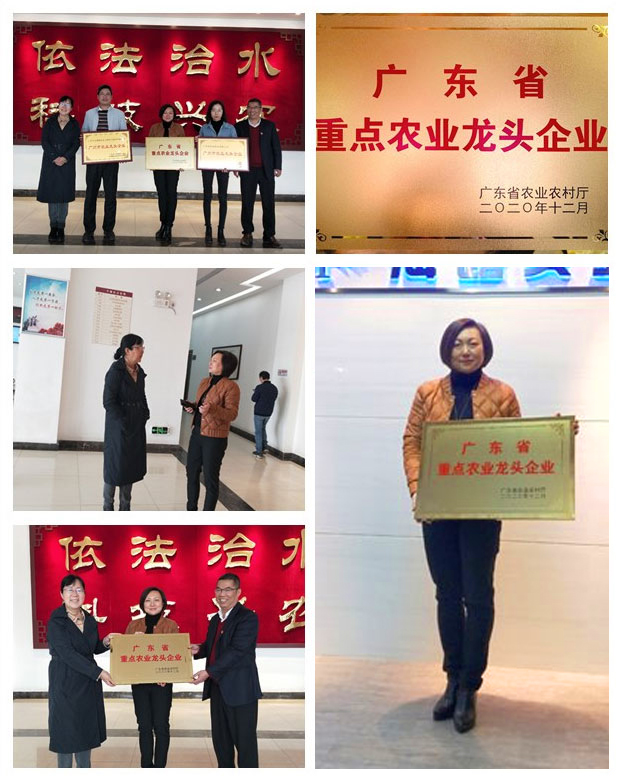 首页-PA集团有限公司官网入口