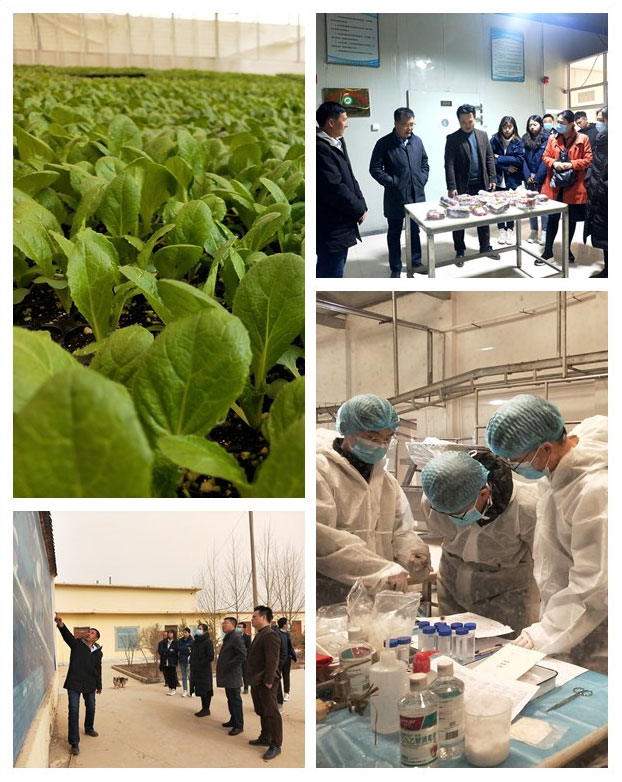 首页-PA集团有限公司官网入口