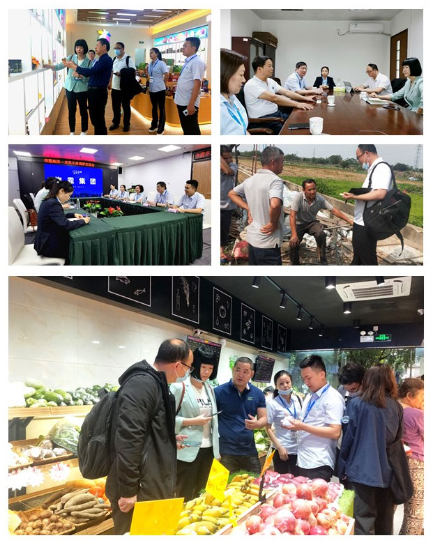 首页-PA集团有限公司官网入口