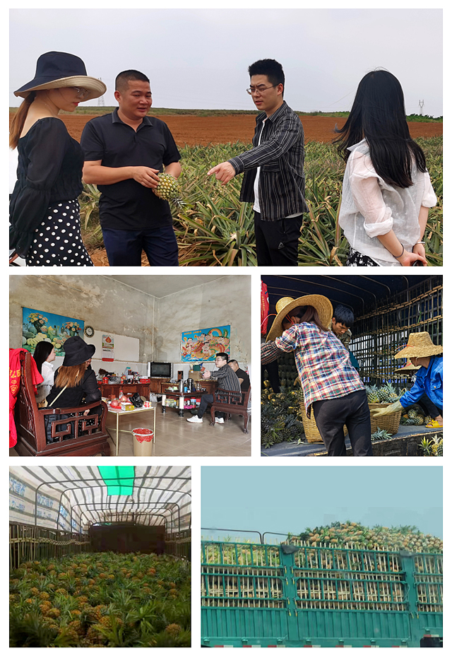 首页-PA集团有限公司官网入口