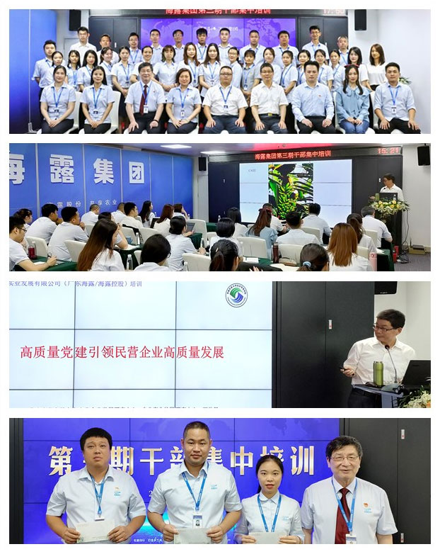 首页-PA集团有限公司官网入口