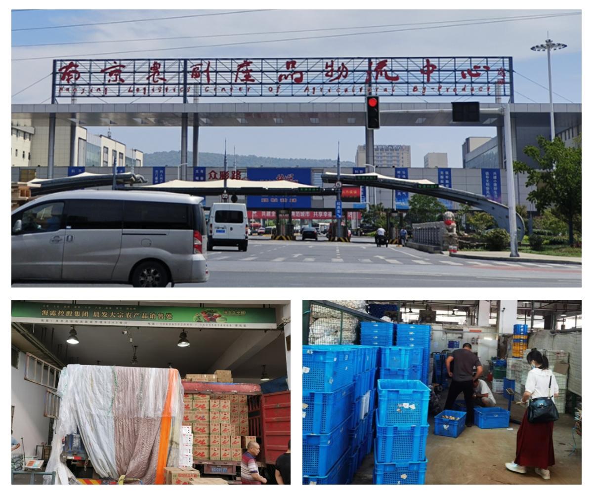 首页-PA集团有限公司官网入口