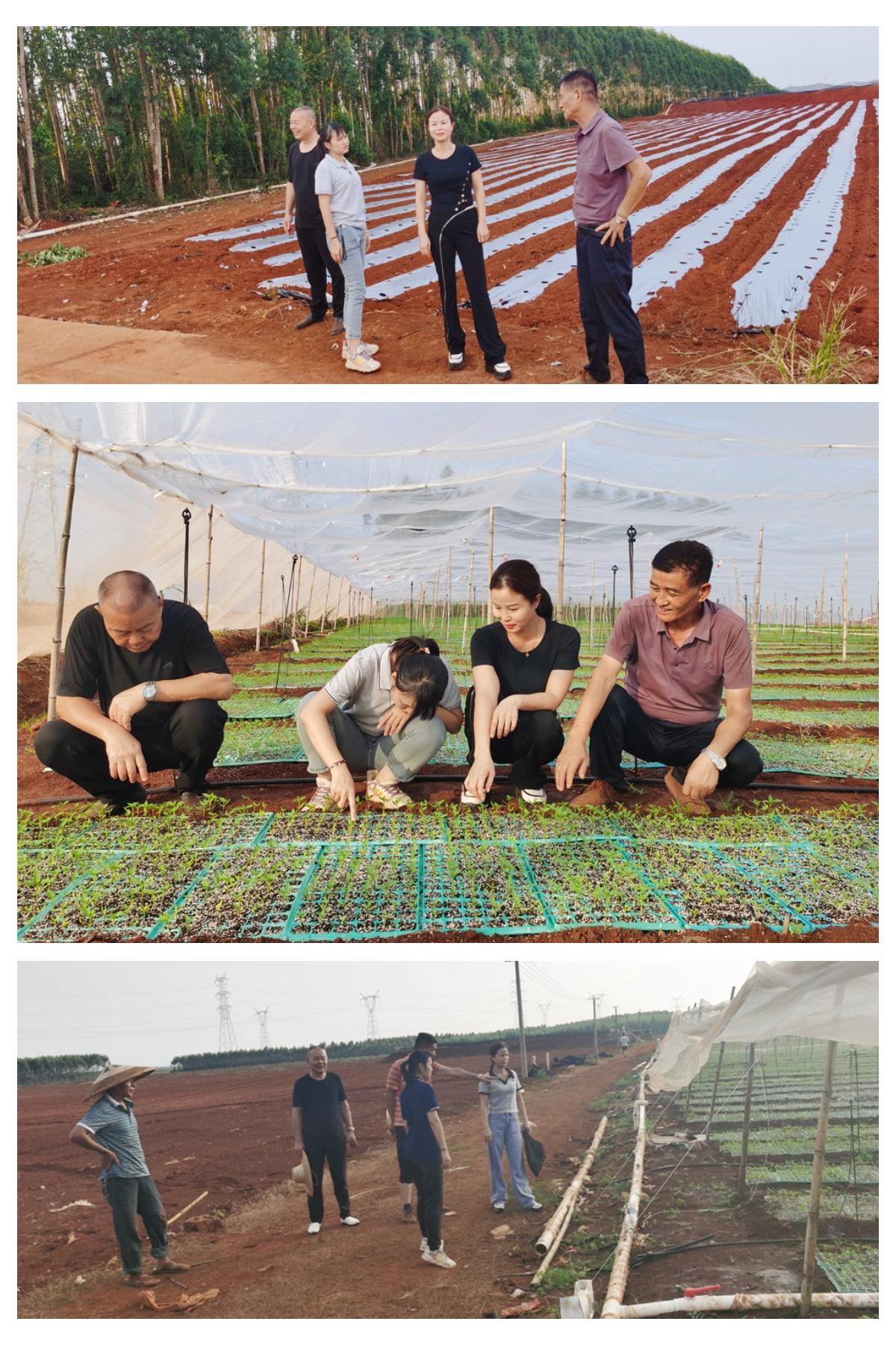 首页-PA集团有限公司官网入口