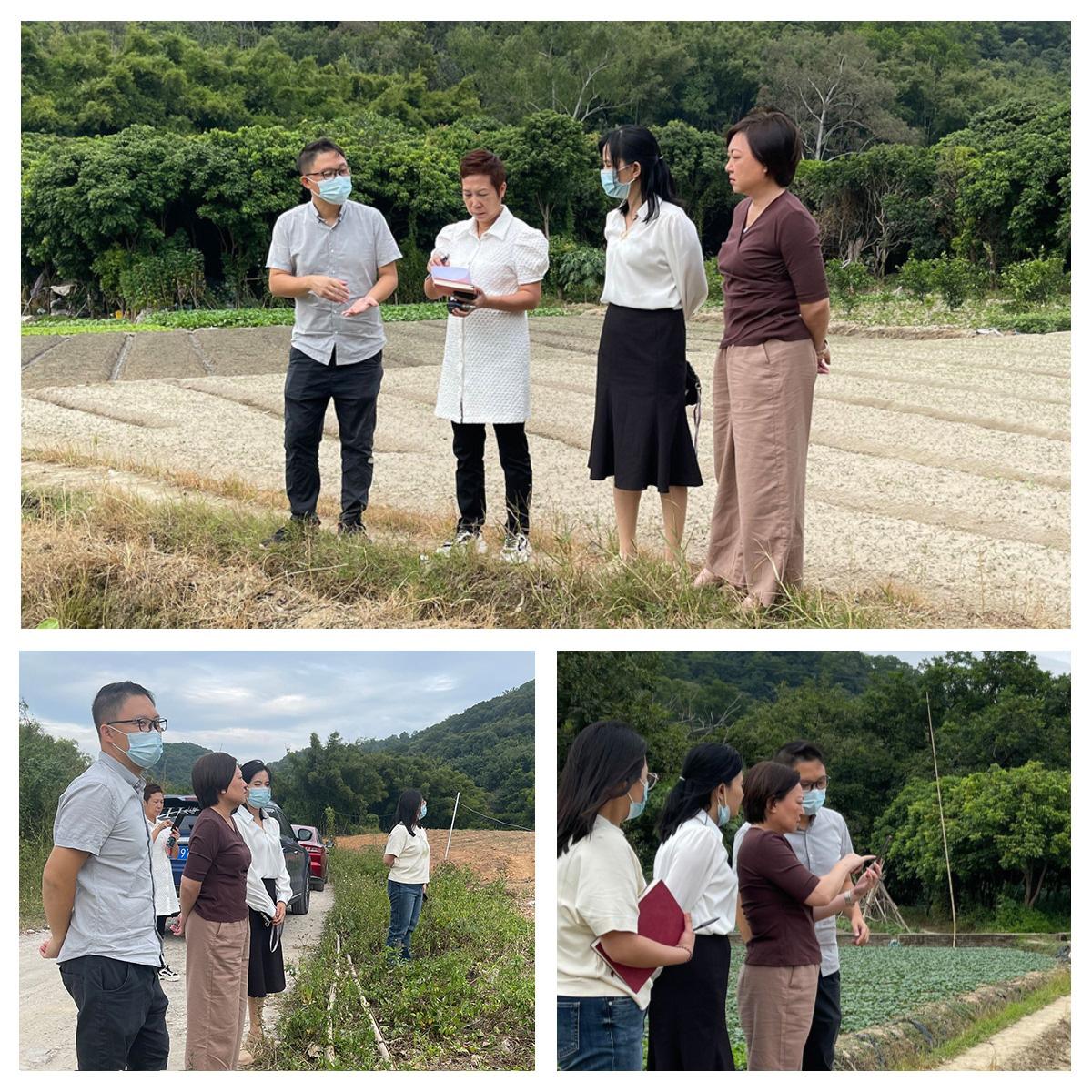 首页-PA集团有限公司官网入口