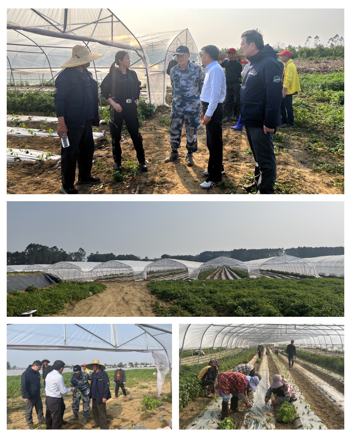 首页-PA集团有限公司官网入口