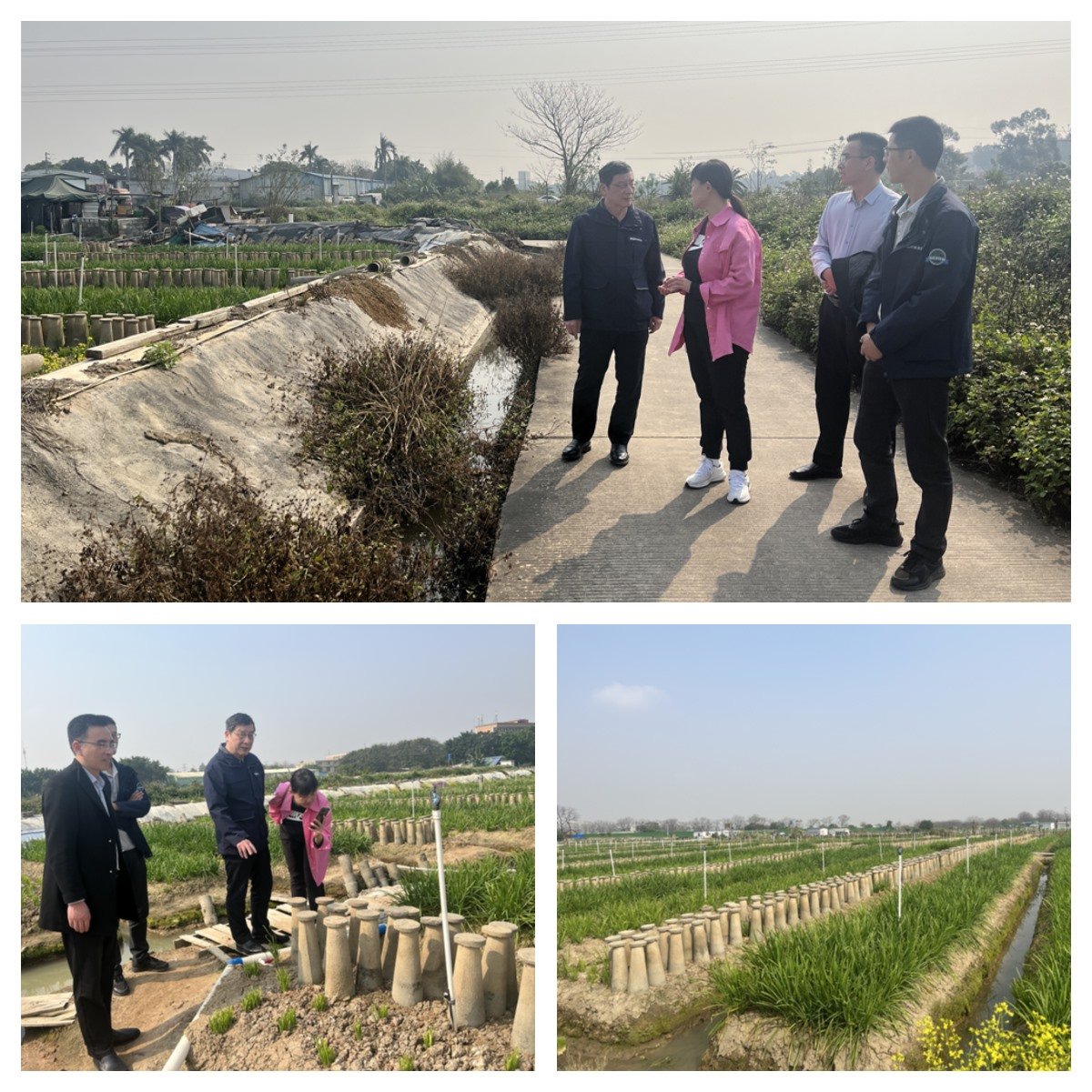 首页-PA集团有限公司官网入口